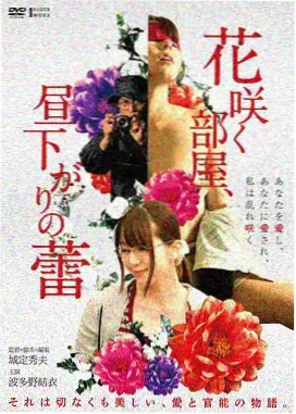 回声实验 电影封面